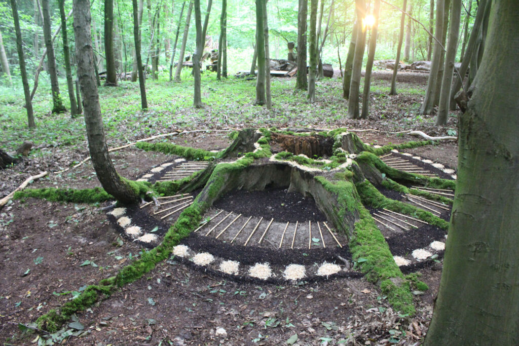 LandArt Cluster 1 LandArt Cluster