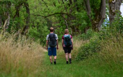 Zertifizierte DWV-Wanderführer*innen im Leinebergland starten mit geführten Wandertouren in die Saison